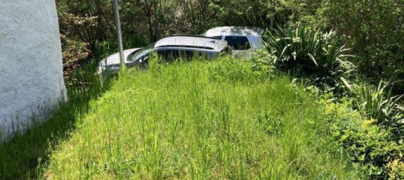 4غرفة منزل في Raabs an der Thaya, Austria رقم 206324 14