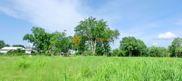 Commercial property in Chonburi, Thailand No. 1842 3