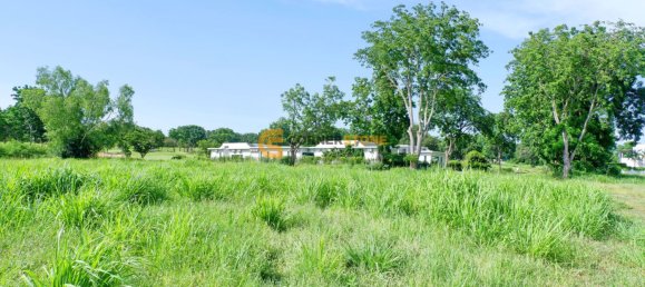 Commercial property in Chonburi, Thailand No. 1842 4