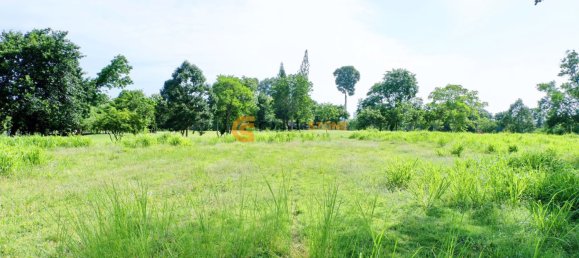 Commercial property in Chonburi, Thailand No. 1842 7