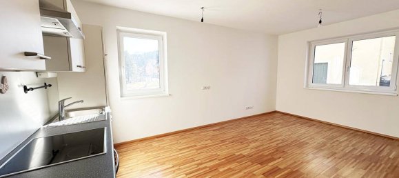 1 Schlafzimmer Haus in Liezen, Austria, Nr. 138375 3