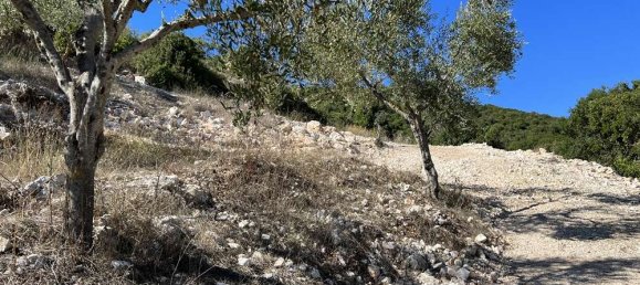  Hotel in Zakynthos, Greece No. 798 3