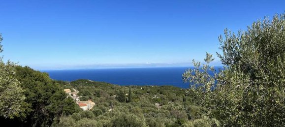  Hotel in Zakynthos, Greece No. 798 7