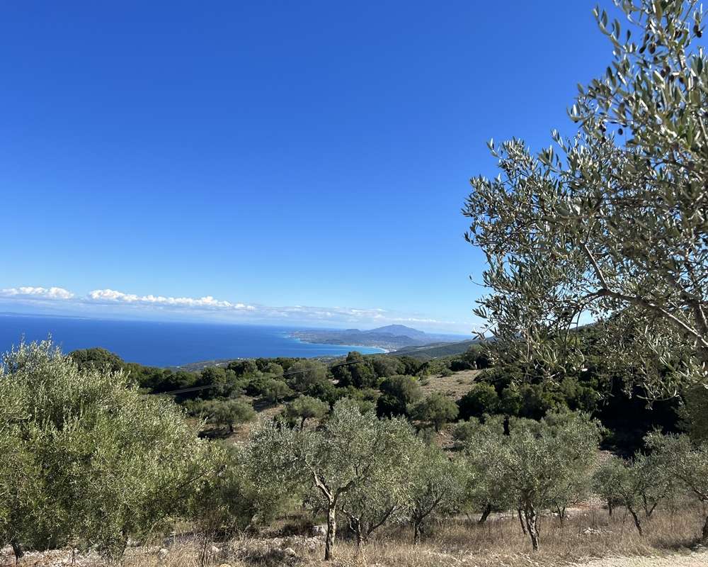  Hotel in Zakynthos, Greece No. 798