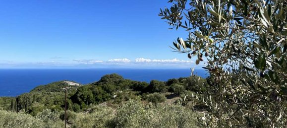  Hotel in Zakynthos, Greece No. 798 11