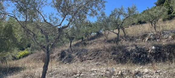  Hotel in Zakynthos, Greece No. 798 13