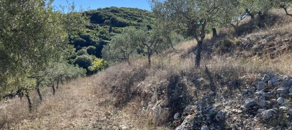  Hotel in Zakynthos, Greece No. 798 16