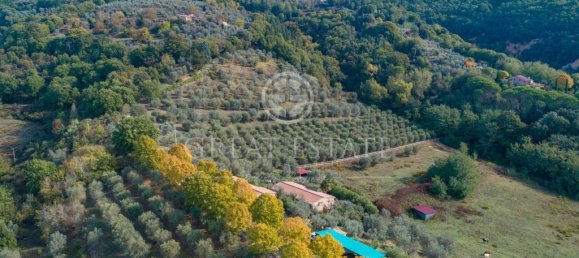 11 bedrooms House in Città della Pieve, Italy No. 56089 5