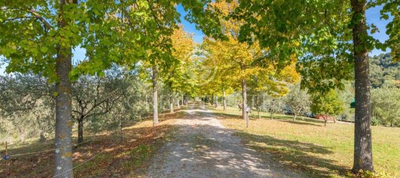 11 bedrooms House in Città della Pieve, Italy No. 56089 23