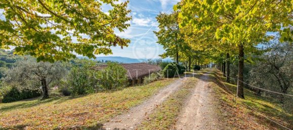 11 bedrooms House in Città della Pieve, Italy No. 56089 21