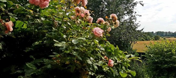 4 غرف نوم تاون هاوس في Offenbach, Germany رقم 356664 8