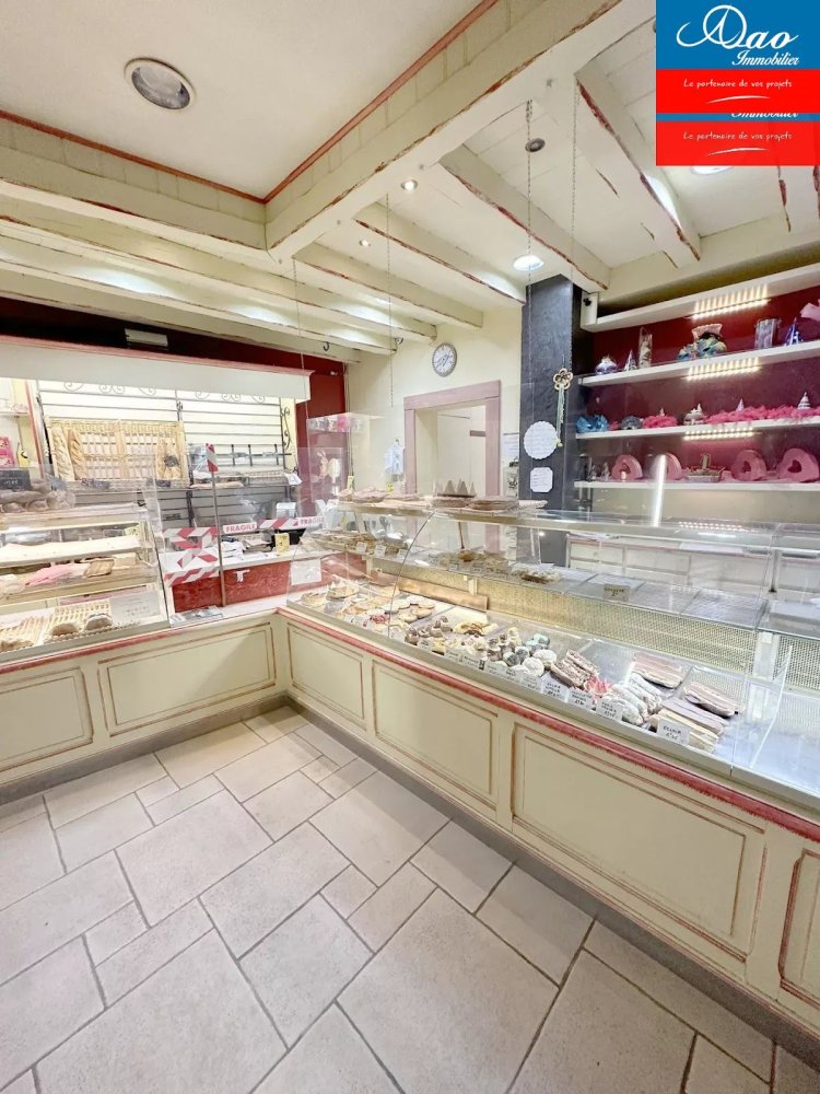 Gewerbliche Immobilie in Troyes, France 300m², Nr. 67557