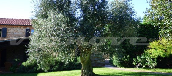 7 bedrooms House in Campiglia Marittima, Italy No. 225694 37