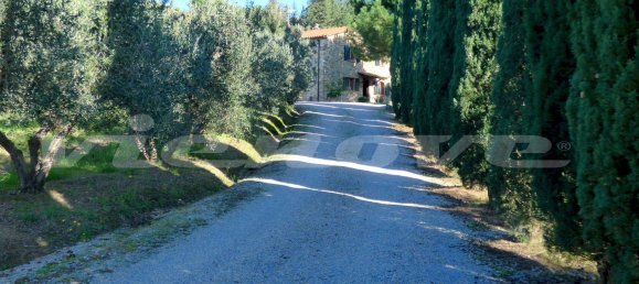 7 bedrooms House in Campiglia Marittima, Italy No. 225694 42