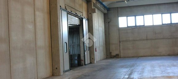 5763m² Warehouse in Luzzara, Italy No. 60480 19