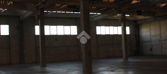 5763m² Warehouse in Luzzara, Italy No. 60480 21