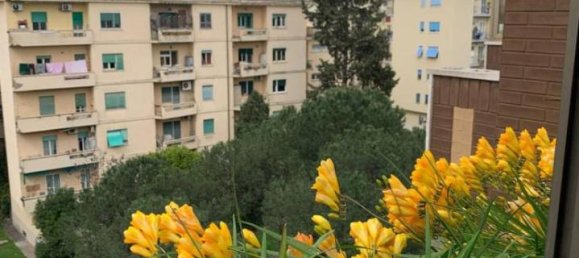 5غرفة شقة في Rome, Italy رقم 80812 24