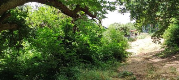 13 rooms Villa in Allumiere, Italy No. 211098 19