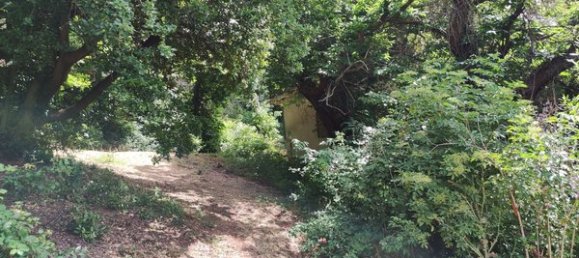 13 rooms Villa in Allumiere, Italy No. 211098 17