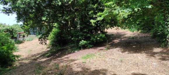 13 rooms Villa in Allumiere, Italy No. 211098 21