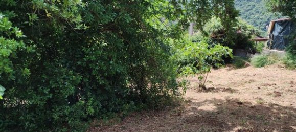 13 rooms Villa in Allumiere, Italy No. 211098 23