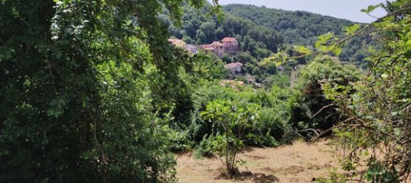 13 rooms Villa in Allumiere, Italy No. 211098 24