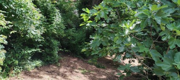 13 rooms Villa in Allumiere, Italy No. 211098 22