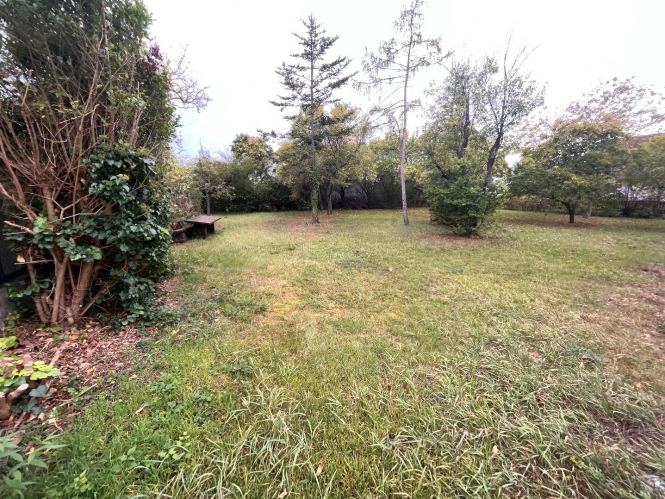 Terrain à Traiskirchen, Austria No. 131439