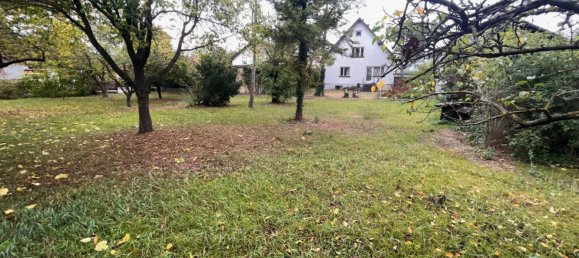 Terrain à Traiskirchen, Austria No. 131439 2