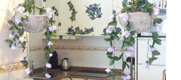 Apartamento de 2 dormitorios en Torrevieja, Spain No. 145810 3