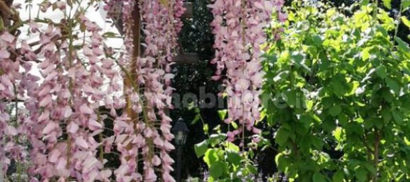 5 bedrooms Apartment in Florence, Italy No. 361846 11