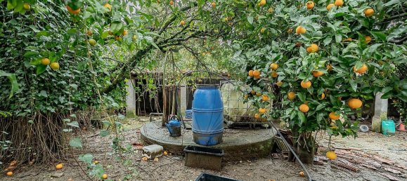 4 Schlafzimmer Haus in Vila Nova de Poiares, Portugal, Nr. 158972 19