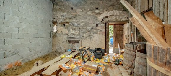 4 Schlafzimmer Haus in Vila Nova de Poiares, Portugal, Nr. 158972 13