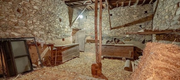 4 Schlafzimmer Haus in Vila Nova de Poiares, Portugal, Nr. 158972 14