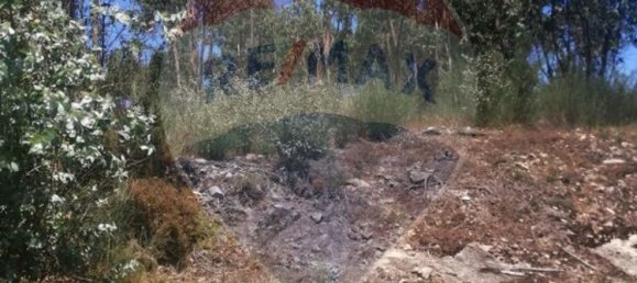 Terreno em Lousada, Portugal 2766 m² N.º 63198 7