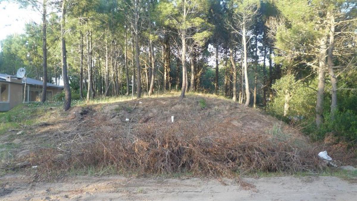 Terrain à Mar del Plata, Argentina No. 120571