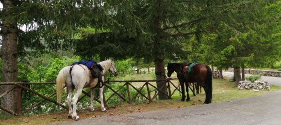 3غرفة شقة في Filettino, Italy رقم 47793 6