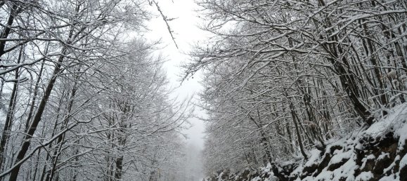 3غرفة شقة في Filettino, Italy رقم 47793 3