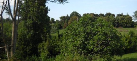 8 rooms Villa in Pesaro, Italy No. 164241 8