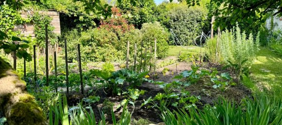 3 chambres Maison à Lamotte-Beuvron, France No. 61257 3