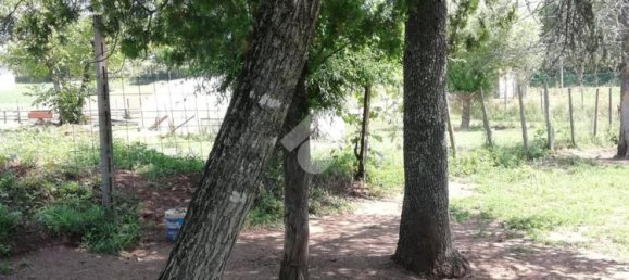 2 rooms House in Olevano Romano, Italy No. 173888 17