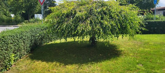 2 bedrooms Bungalow in Schaumburg, Germany No. 239518 2