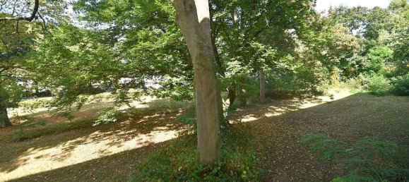 2 Schlafzimmer Wohnung in Düsseldorf, Germany, Nr. 271239 13