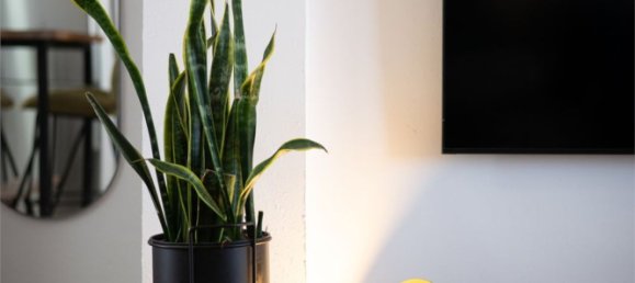 Apartamento T3 em Santa Pola, Spain N.º 160802 6