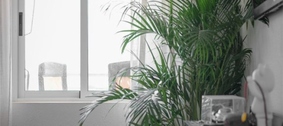 Apartamento T3 em Santa Pola, Spain N.º 160802 19