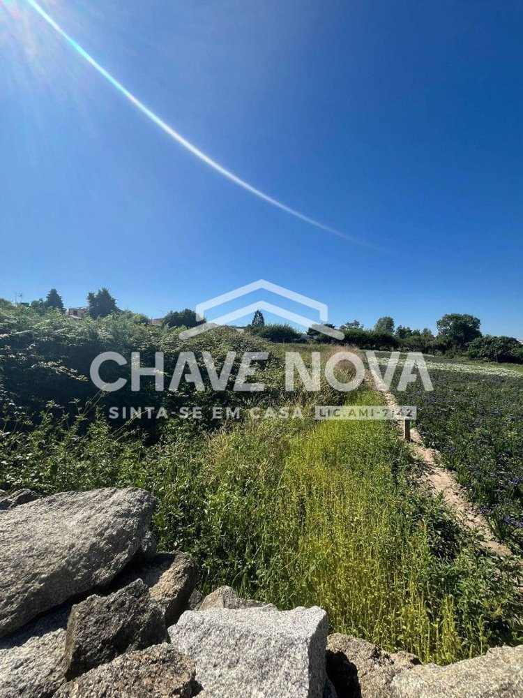  Land in Madalena, Portugal No. 297914