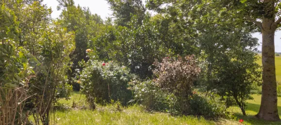 2 bedrooms House in Nordfriesland, Germany No. 55896 8