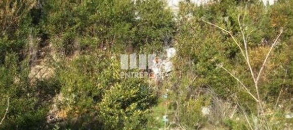 152m² Land in Anha, Portugal No. 71844 6