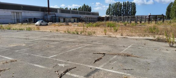  مستودع في Latina, Italy 5280متر مربع رقم 203009 32