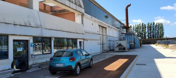  مستودع في Latina, Italy 5280متر مربع رقم 203009 34